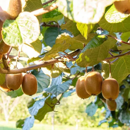 Ag Casa Bertoa Con Jardin Y Comedor Exterior X8 *