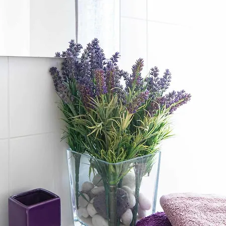 Ag Casa Bertoa Con Jardin Y Comedor Exterior X8 Queo de Abaixo