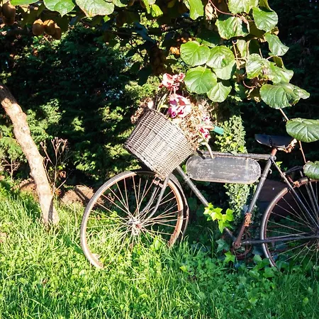 Ag Casa Bertoa Con Jardin Y Comedor Exterior X8 Country house
